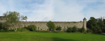 23545-23546 Cahir Castle wall from park.jpg